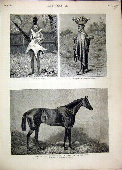 Print 1880 Robert Devil Racehorse Basuto Woman Chi