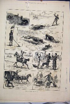 Print 1882 Coursing Matches Dogs Horse Carriage Ha