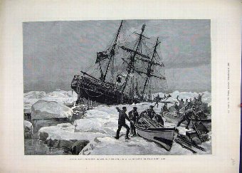 Print 1882 Eira Arctic Expedition Cape Flora Franz