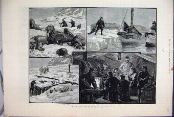 Print 1882 Eira Artic Expedition Franz Joseph Land