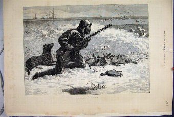 Print 1882 Wild Duck Shooting Snow Dog Shipl 27MAR