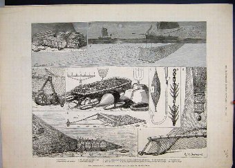 Print 1883 International Fisheries Exhibition Gear
