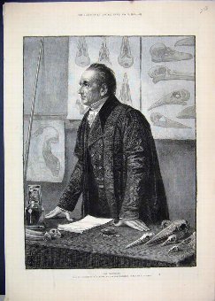 Print 1883 Professor Bones Marks Royal Academy Art