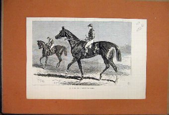 Print 1883 St Blaise Derby Winner Racehorse Jockey