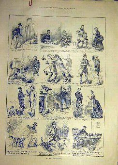 Print 1885 Anti-Canine Protest Dog Sketches Old 48