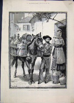 Print 1883 Vendor Oil Vinegar Donkey Lisbon Portug