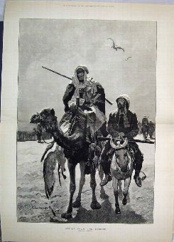 Print 1884 Arab Camel Man Horse Desert Dead Bird F