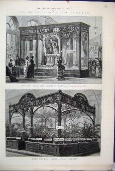 Print 1884 Health Exhibition Dress Fabrics Austral