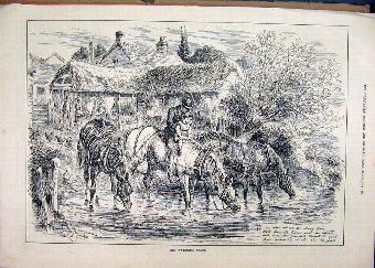 Print 1884 Horses Watering Place Drinking Chicken 