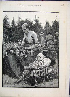 Print 1884 Mother Baby Kentish Hop Garden Fine Art