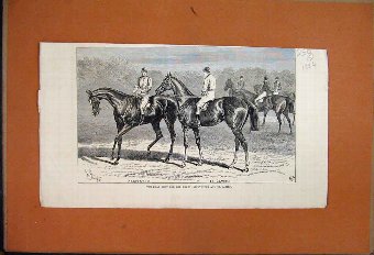Print 1884 Ruins Archbishops Palace Southwell Bart