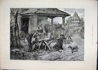 Print 1885 Shoeing Oxen Horse Servian Smithy Fine 