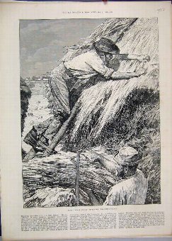 Print 1886 Agricultural Scene Men Thatching Straw 