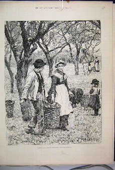 Print 1886 Agricultural Scene November Apple Harve