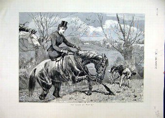 Print 1886 Horse Woman Rider Water Wet Dog Shaking