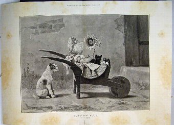 Print 1886 Little Girl Barrow Cat Dog Watching Sun