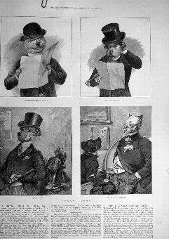 Print 1888 Funny Dogs Sketches Allen Betting Anima