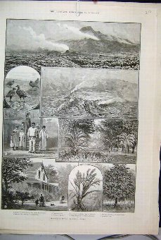 Print 1888 Hawaii Sandwich Island Geese Volcano Ho
