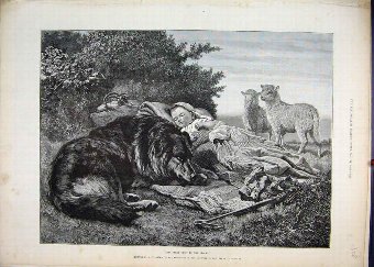 Print 1888 Little Girl Sleeping Dog Lambs Country 