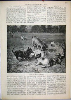 Print 1889 Dogs Playing Children Country Park 03MA
