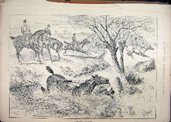 Print 1889 Horse Jumping River Falling Man Tree 95