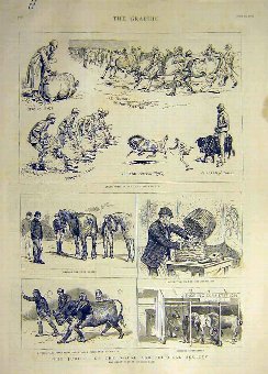 Print 1889 Royal Agricultural Society Jubilee Show