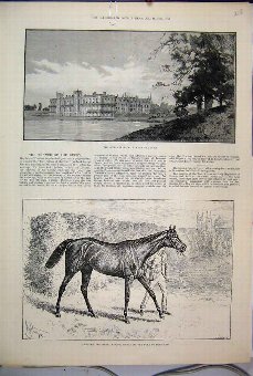 Print 1889 Welbeck Abbey Lake Donovan Derby Winner