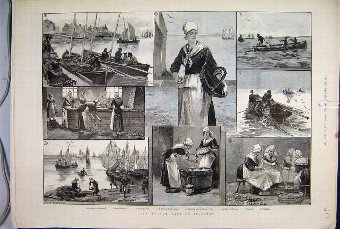 Print 1890 French Sardine Industry Fishermen Workw