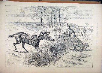 Print 1890 Horses Jockey Jumping Fence Falling 14M