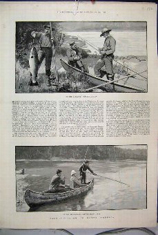 Print 1890 Salmon Fishing America Miramichi Restig