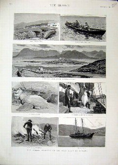 Print 1892 Fishing Industry West Coast Ireland Ker