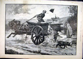 Print 1892 Horse Cart Man Pigs Escape Country Scen