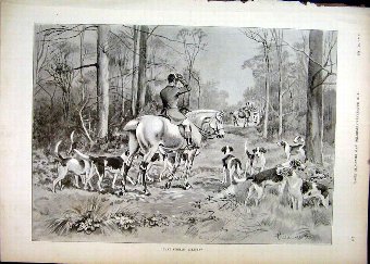 Print 1892 Hunting Hounds Horse Trees Country Scen