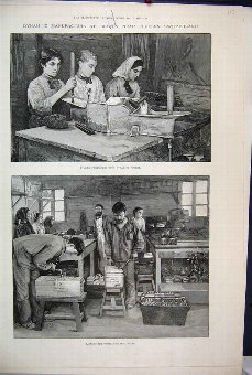 Print 1893 Dynamite Isleten Switzerland Cartridges