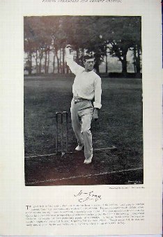 Print 1895 Cricket Player Gray Wilson Sport Photog