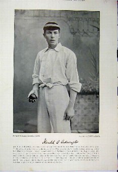 Print 1895 Cricket Sport Photograph Arkwright Hemi