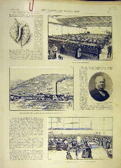 Print 1897 Slikworm Spinning Silk Chardonnet Franc