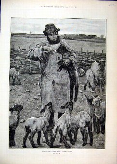 Print Agricultural Scenes 1886 March Farmer Feedin