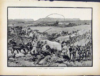 Print Boer War By Richard Danes Main Road Bloemfon