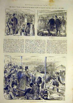 Print 1887 Dorchester Prince Wales Dairy Sheep-Pen