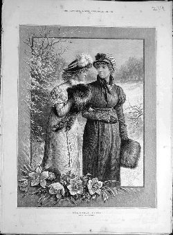 Print 1883 Christmas Roses Johnson Ladies Flower S