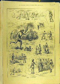 Print 1884 Nepaul Camp Military Monkey Sketches Ol