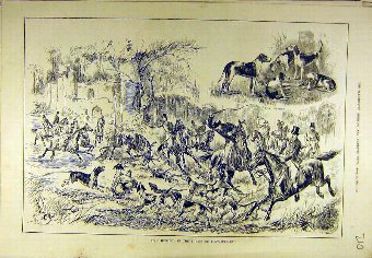 Print 1884 Stag Hunting Forest Fontainebleau Sport