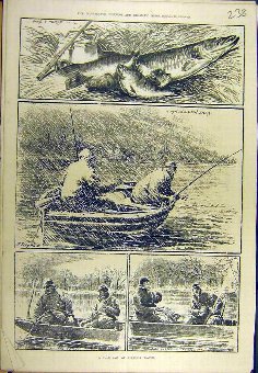 Print 1881 Cold-Day Virginia Water Fish Pike Perch