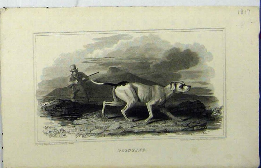 Print 1817 Man Hunting Gun Dog Pointer Mountain Sc