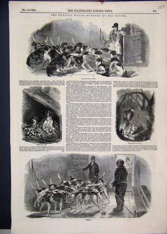 Print 1849 Hunting Season Feeding Dogs Puppies 89M