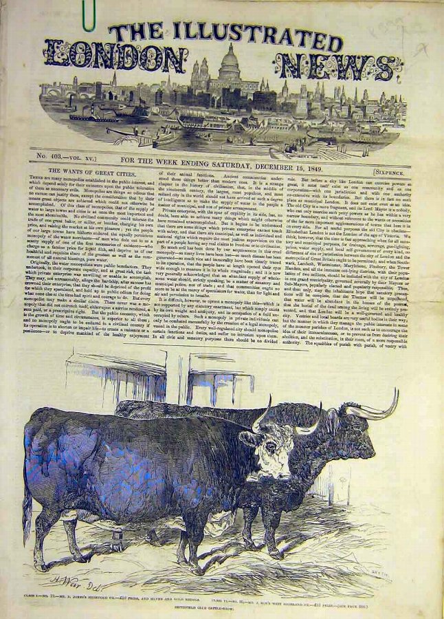 Print 1849 Smithfield Cattle Show Hereford Ox High