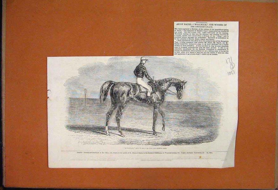 Print 1851 Hippopotamus Taking Bath Regents Park Z