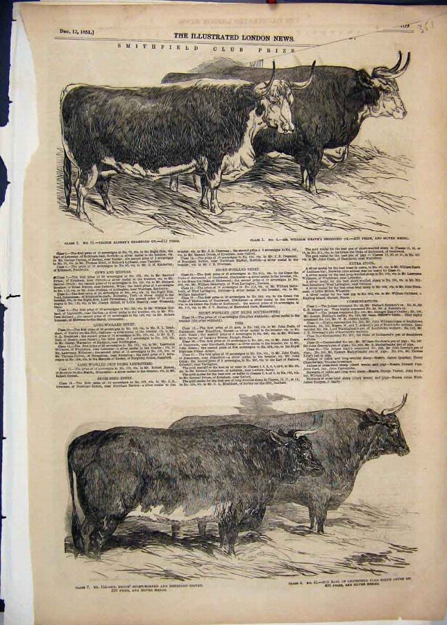 Print 1851 Smithfield Prize Cattle Hereford Ox Hei