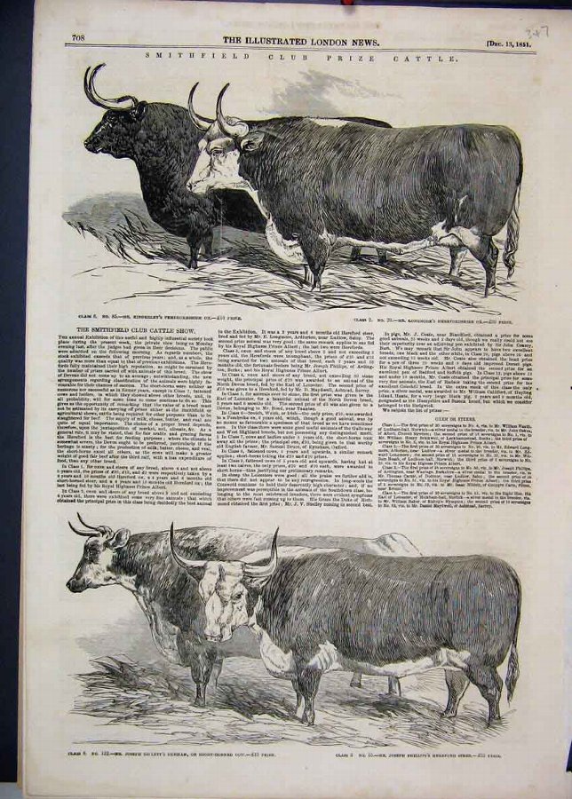 Print 1851 Smithfield Prize Cattle Pembrokeshire C